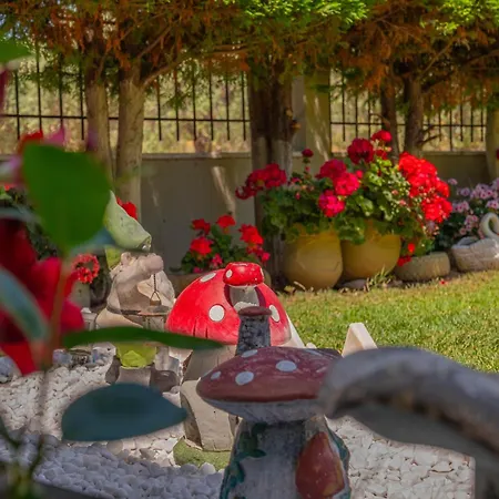 Homelia Apartament *