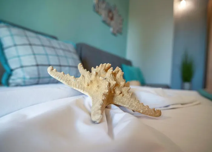 Διαμέρισμα Homelia