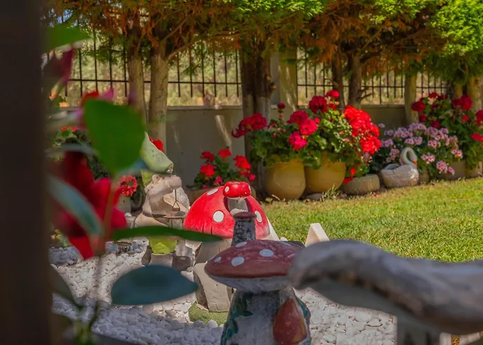 Homelia Διαμέρισμα *