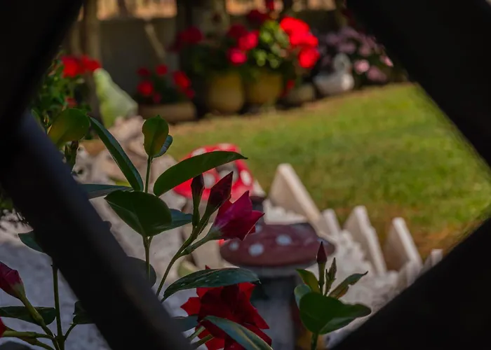 Homelia * Λιμενάρια