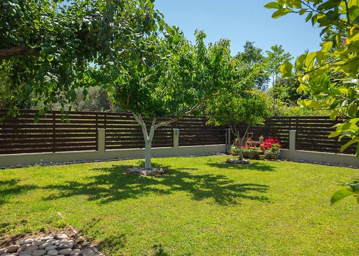 Homelia * לימנריה