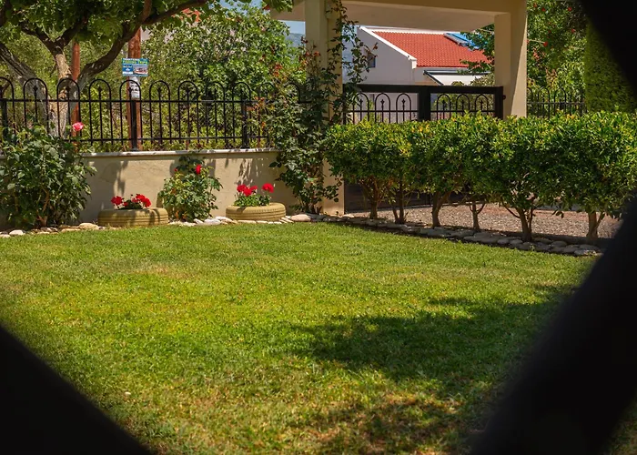 Homelia Διαμέρισμα